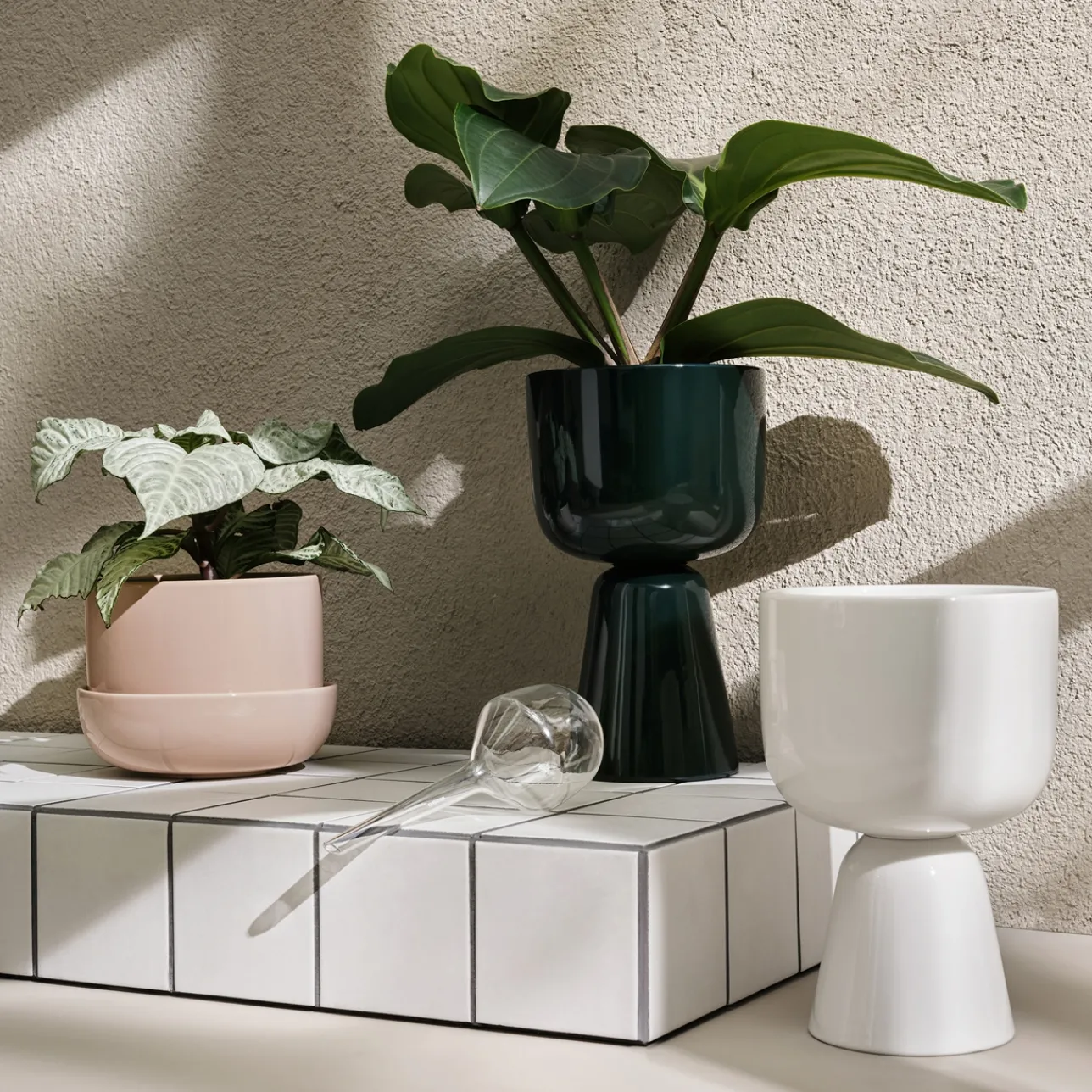 Krukor*IITTALA Bevattningsbehållare set 2-pack