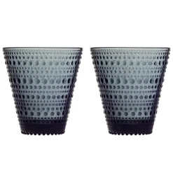 Alla Glas|Dricksglas*IITTALA Dricksglas 30cl mörkgrå 2-pack Mörkgrå