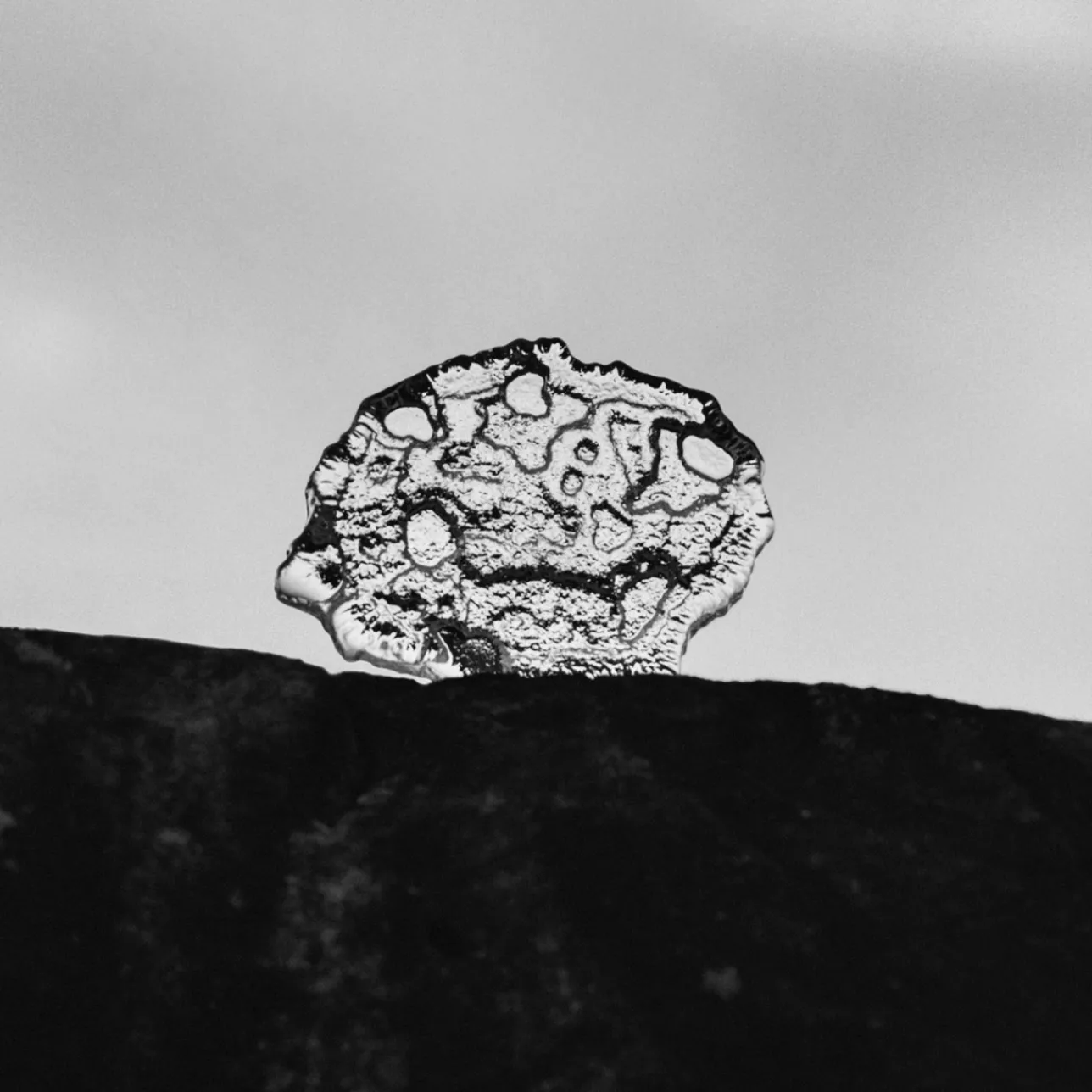 Serveringsbrickor Och Uppläggningsfat|Konstföremål*IITTALA Isflak konstverk 135x24mm Klar