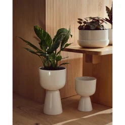 Krukor*IITTALA Kruka med fat M Vit