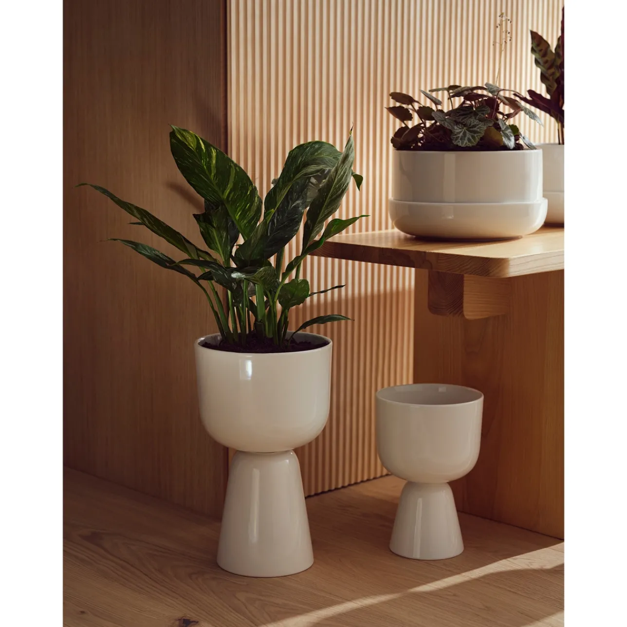 Krukor*IITTALA Kruka med fat M Vit