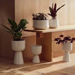 Krukor*IITTALA Kruka med fat M Vit