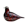 Birds By Toikka|Konstföremål*IITTALA Ruby bird tranbär