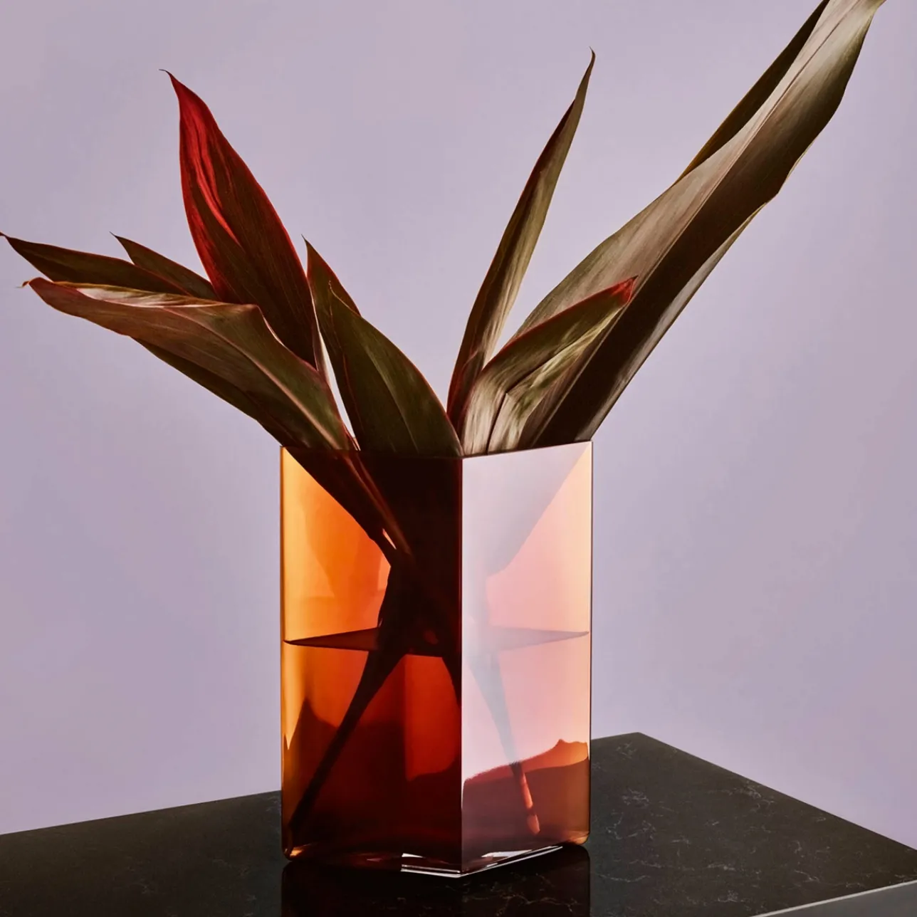 Vaser*IITTALA Vas 205x270mm koppar