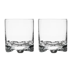 Alla Glas|Cocktailglas*IITTALA Whiskyglas 28cl 2-pack